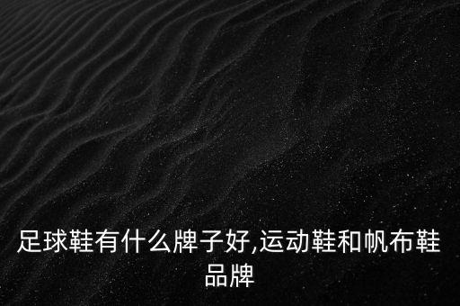 帆布足球鞋有什么牌子好,运动鞋和帆布鞋品牌