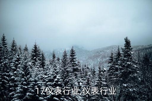 2017仪表行业,仪表行业