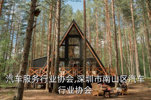 汽车服务行业协会,深圳市南山区汽车行业协会