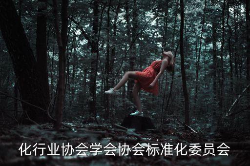 标准化行业协会学会协会标准化委员会