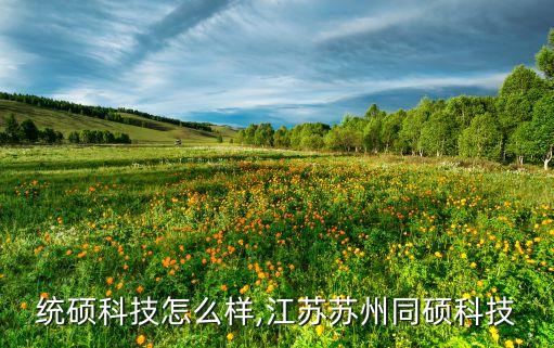 苏州统硕科技怎么样,江苏苏州同硕科技