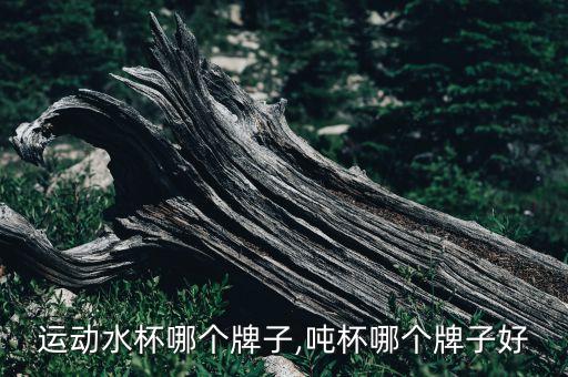 儿童运动水杯哪个牌子,吨杯哪个牌子好?