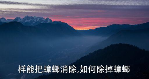 样能把蟑螂消除,如何除掉蟑螂