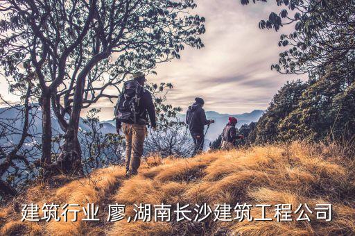 长沙建筑行业 廖,湖南长沙建筑工程公司