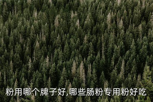 粉用哪个牌子好,哪些肠粉专用粉好吃