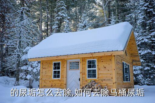 厕所的尿垢怎么去除,如何去除马桶尿垢?