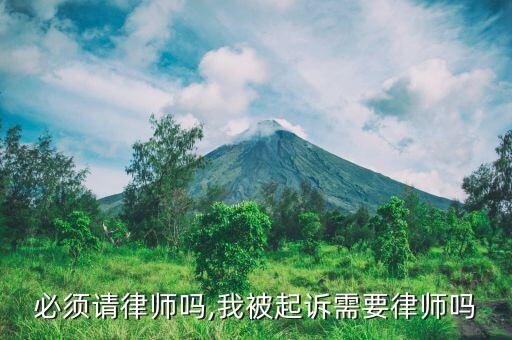 必须请律师吗,我被起诉需要律师吗