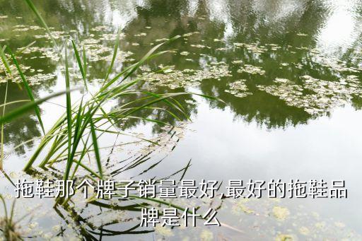 夏天拖鞋那个牌子销量最好,最好的拖鞋品牌是什么?