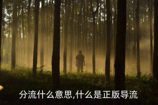 分流什么意思,什么是正版导流
