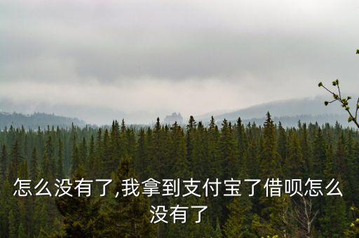 借呗怎么没有了,我拿到支付宝了借呗怎么没有了