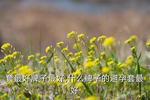 避孕套最好牌子最好,什么牌子的避孕套最好?