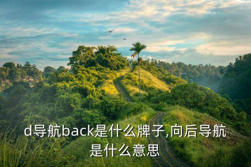 dvd导航back是什么牌子,向后导航是什么意思?