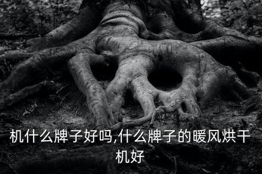 机什么牌子好吗,什么牌子的暖风烘干机好