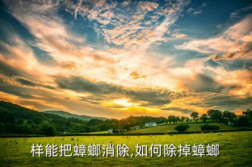 样能把蟑螂消除,如何除掉蟑螂