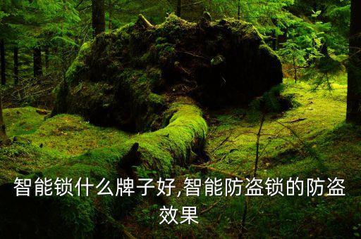 智能锁什么牌子好,智能防盗锁的防盗效果