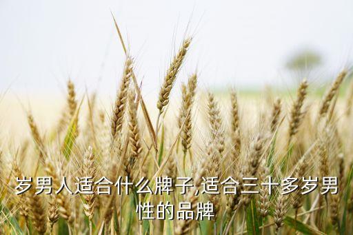 30岁男人适合什么牌子,适合三十多岁男性的品牌