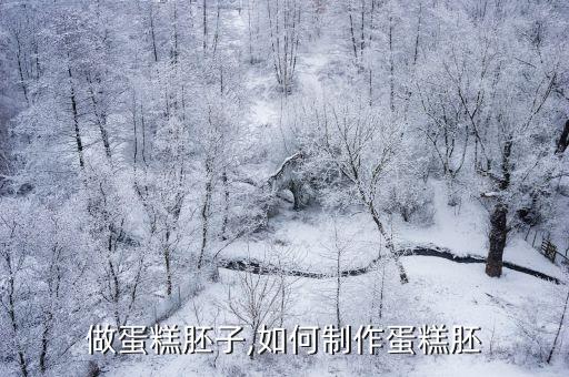 做蛋糕胚子,如何制作蛋糕胚