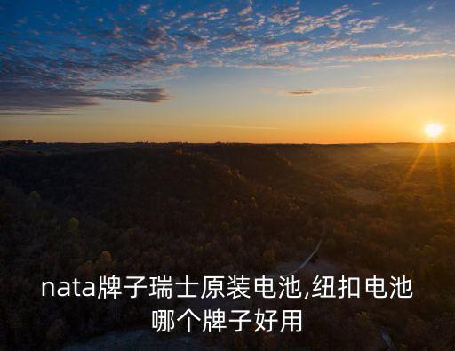 renata牌子瑞士原装电池,纽扣电池哪个牌子好用?