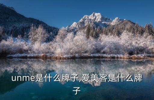台湾unme是什么牌子,爱美客是什么牌子?