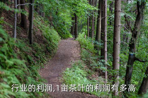 茶叶行业的利润,1亩茶叶的利润有多高?