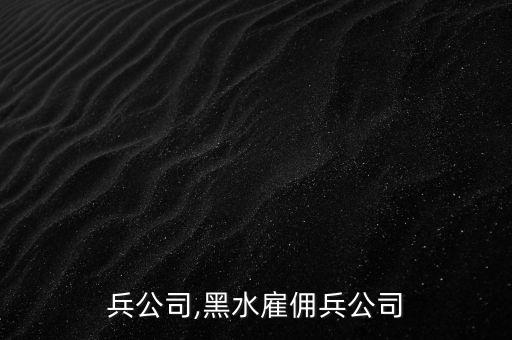 雇佣兵公司,黑水雇佣兵公司