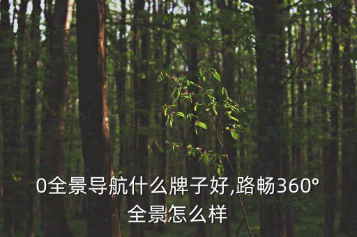 0全景导航什么牌子好,路畅360°全景怎么样