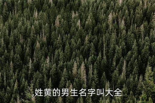 ,姓黄的男生名字叫大全