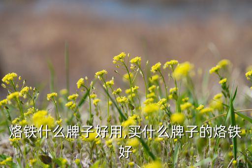 烙铁什么牌子好用,买什么牌子的烙铁好