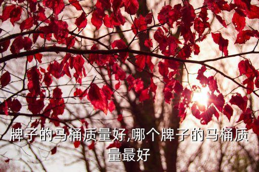 什么牌子的马桶质量好,哪个牌子的马桶质量最好?