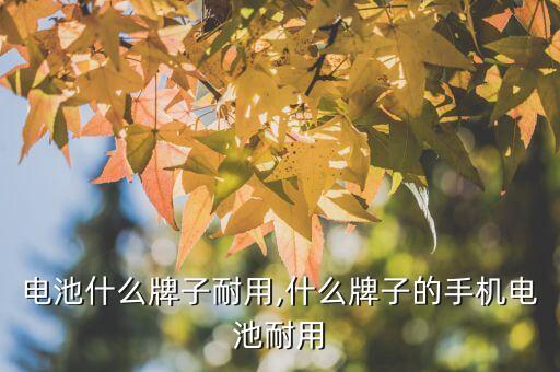 手机电池什么牌子耐用,什么牌子的手机电池耐用?