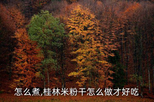 怎么煮,桂林米粉干怎么做才好吃