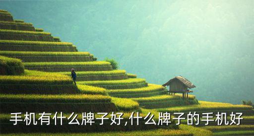 进口手机有什么牌子好,什么牌子的手机好?