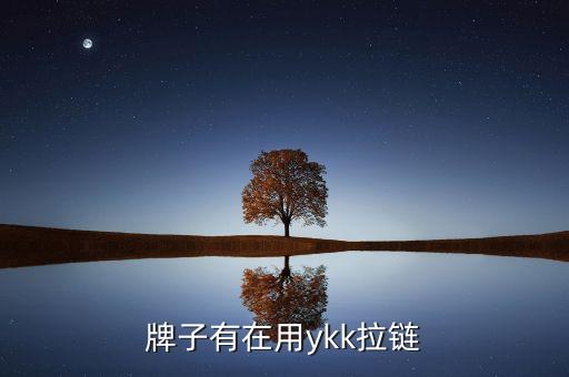哪个牌子有在用ykk拉链