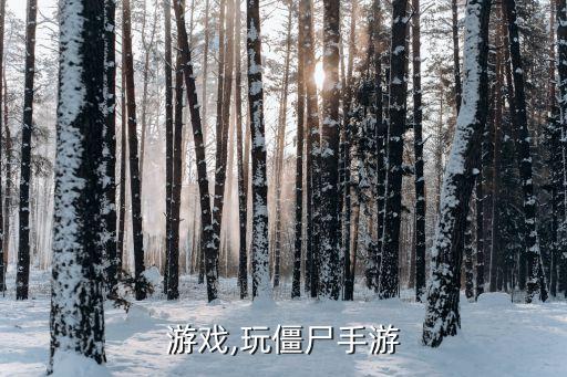 游戏,玩僵尸手游