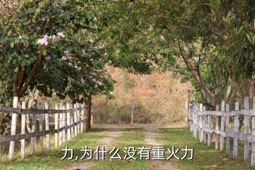 重火力,为什么没有重火力