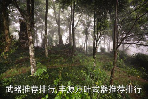 武器推荐排行,丰源万叶武器推荐排行