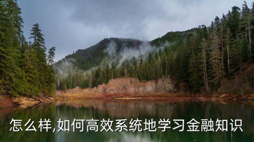 怎么样,如何高效系统地学习金融知识