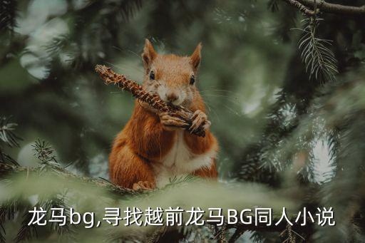 龙马bg,寻找越前龙马BG同人小说