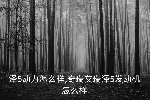泽5动力怎么样,奇瑞艾瑞泽5发动机怎么样