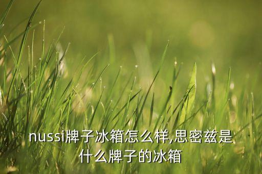 zanussi牌子冰箱怎么样,思密兹是什么牌子的冰箱?