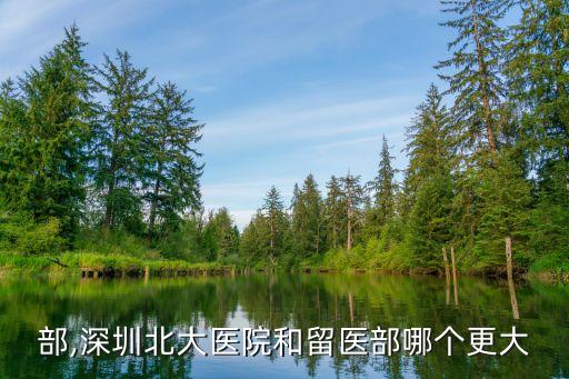 部,深圳北大医院和留医部哪个更大