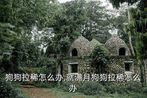 满月狗狗拉稀怎么办,就满月狗狗拉稀怎么办