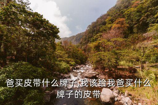 爸买皮带什么牌子,我该给我爸买什么牌子的皮带