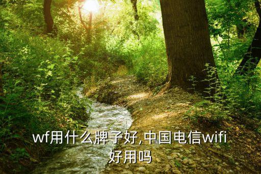 wf用什么牌子好,中国电信wifi好用吗