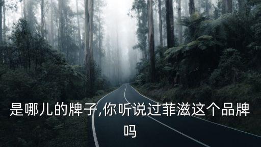 是哪儿的牌子,你听说过菲滋这个品牌吗