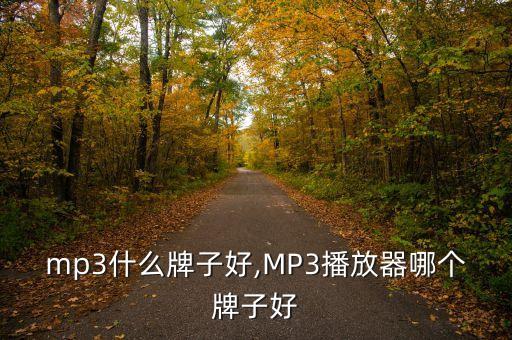 mp3什么牌子好,MP3播放器哪个牌子好