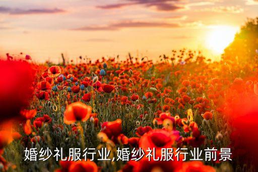 从事婚纱礼服行业,婚纱礼服行业前景