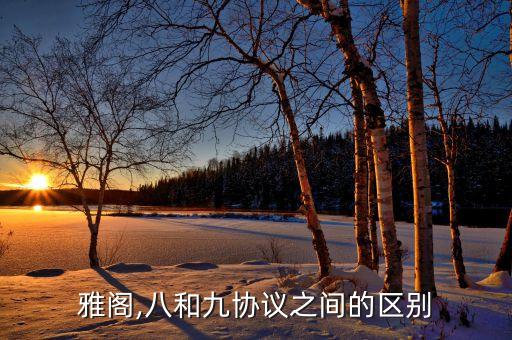 八代雅阁,八和九协议之间的区别