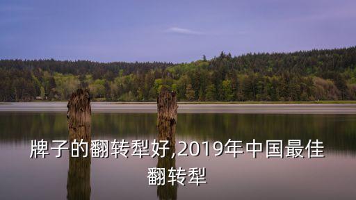 什么牌子的翻转犁好,2019年中国最佳翻转犁