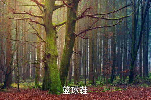 篮球鞋